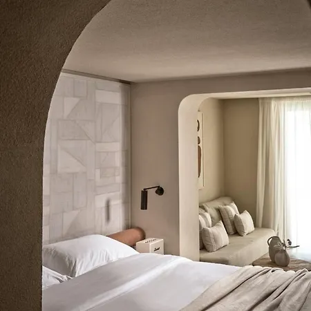 Hotel Omeon Mykonos 5*