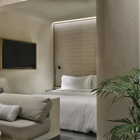 Hotel Omeon Mykonos