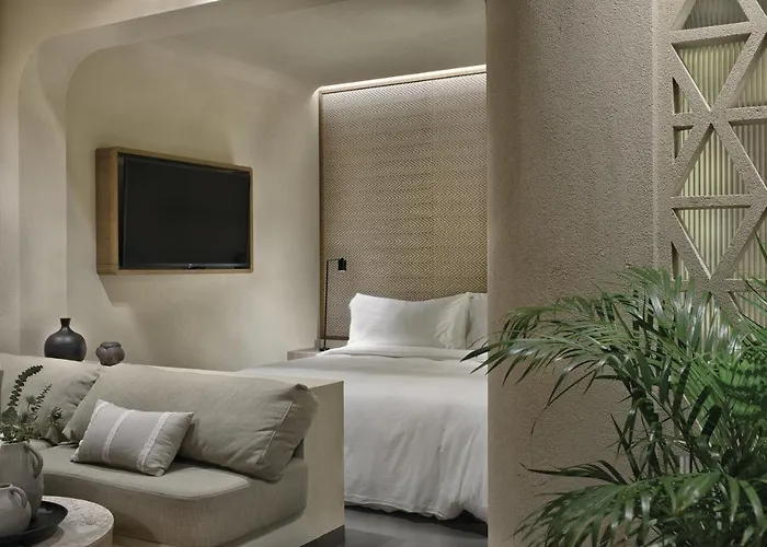 Hotel Omeon Mykonos